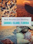 Sanibel Island shell capital of the world